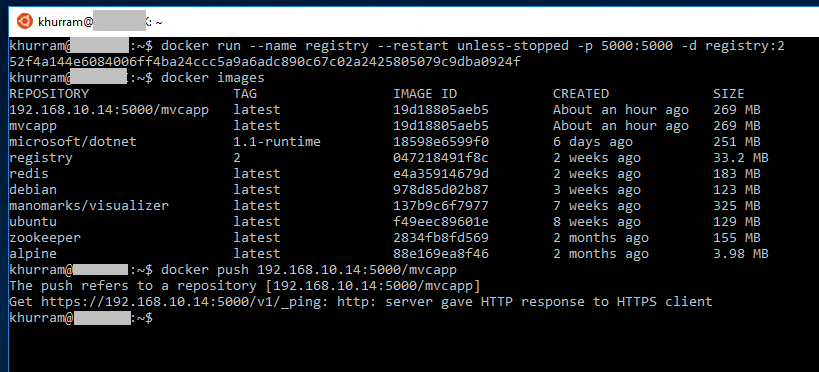 registry-https-error